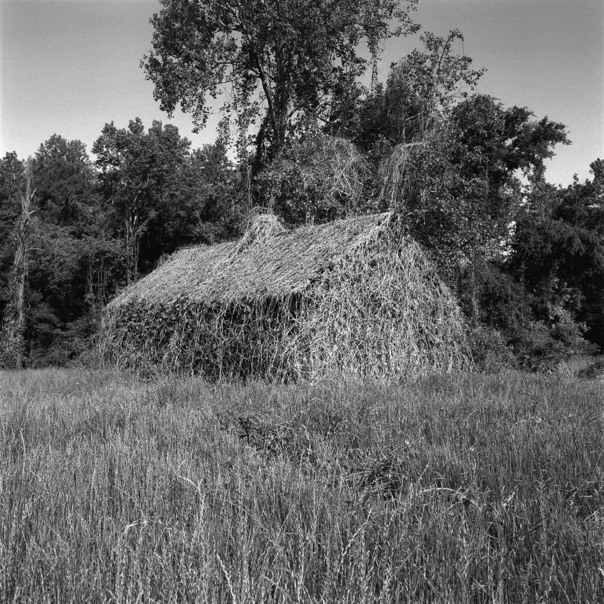 <p><center>Greene County, Alabama:</center></p>
A deserted farmhouse. : Images : AMERICAN BLACK FARMERS PROJECT - John Ficara