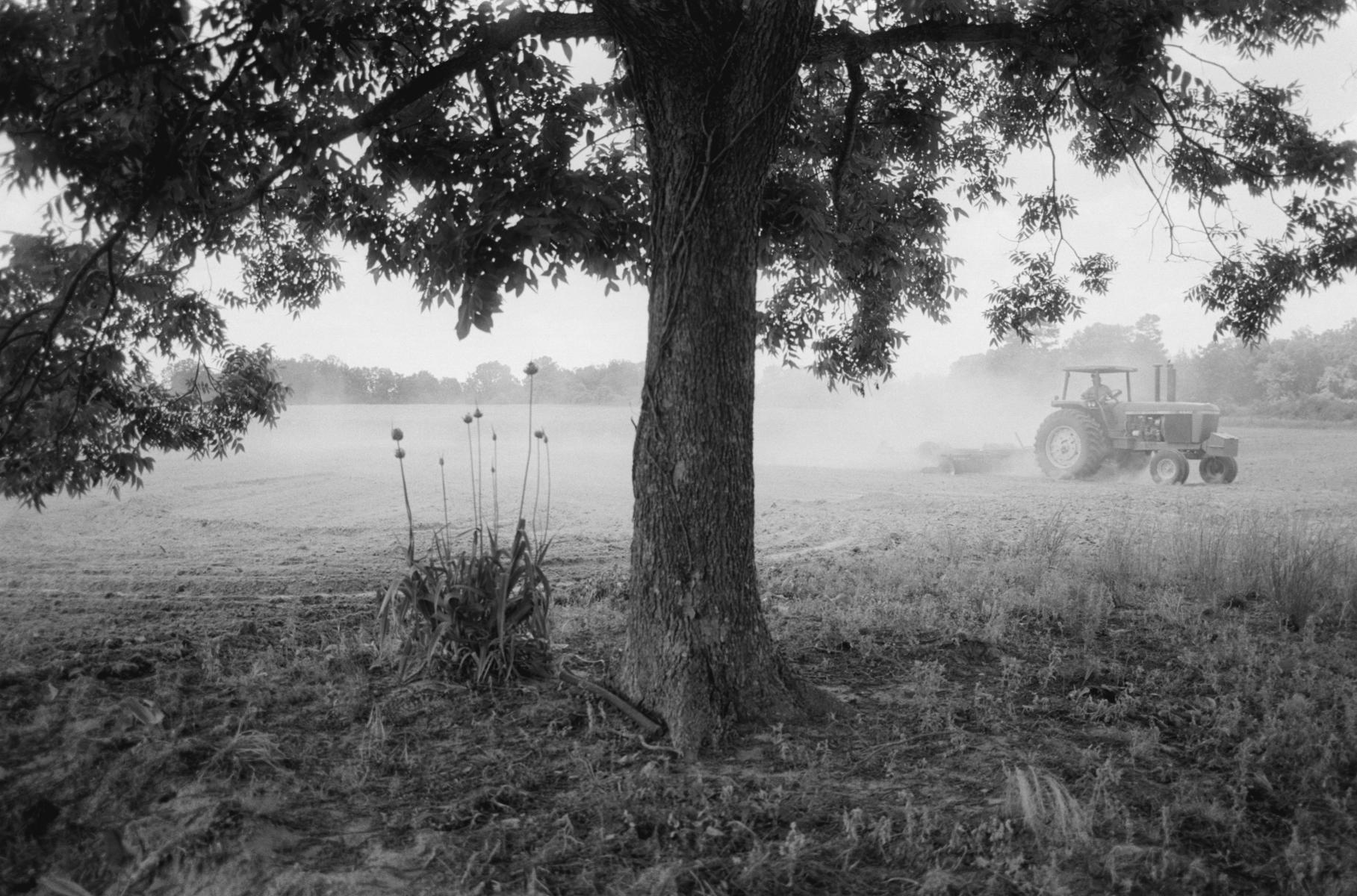 <p><center>Dooly County, Georgia:</center></p>
Preparing the fields for planting.
 : Images : AMERICAN BLACK FARMERS PROJECT - John Ficara