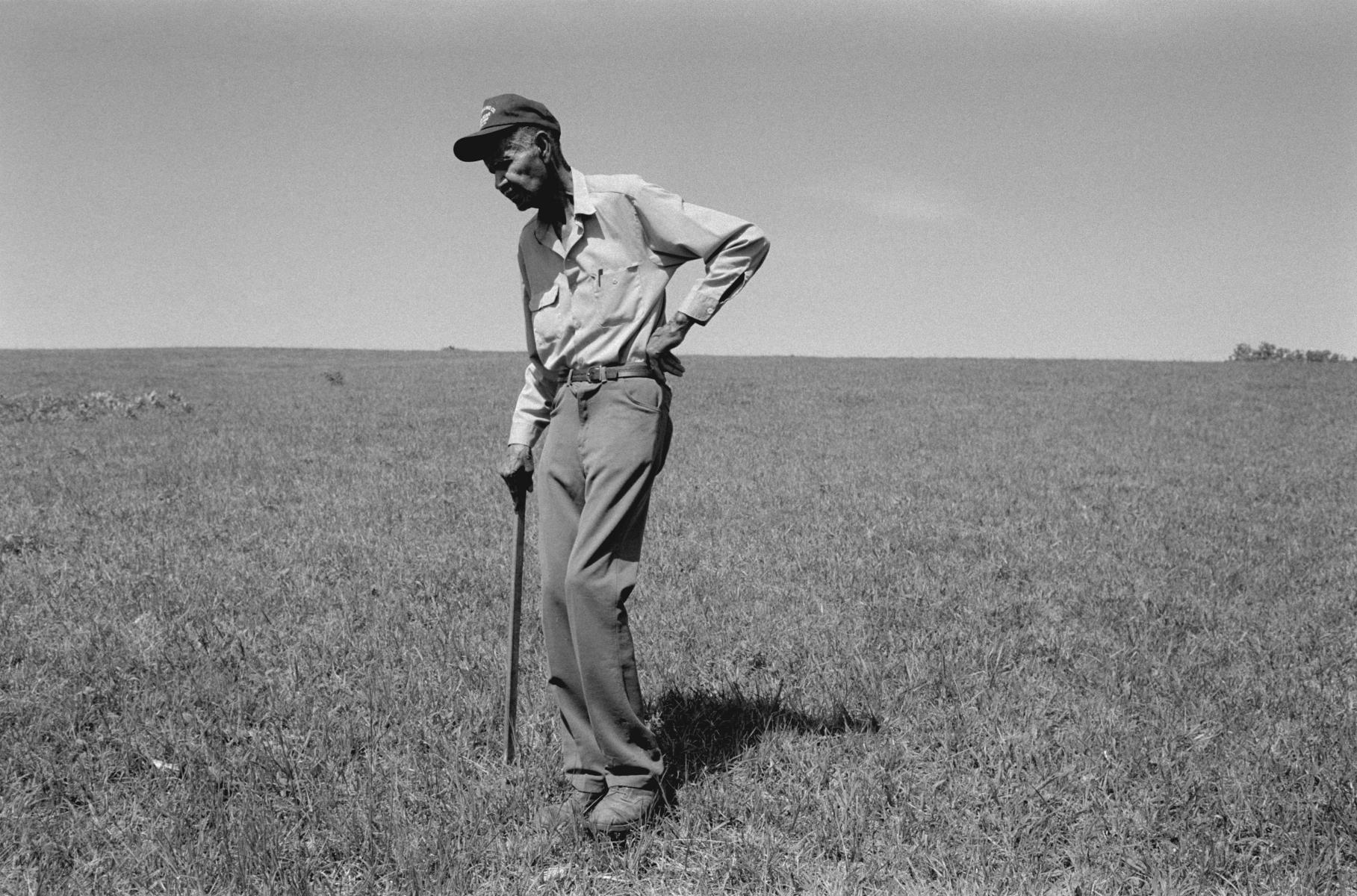 <p><center>Buckingham County, Virginia:</center></p>
Cattle farmer Madison Brown walks through a pasture on his farm during a severe drought in Virginia. The grass should normally reach Brown's hip by this time of the season. : Images : AMERICAN BLACK FARMERS PROJECT - John Ficara