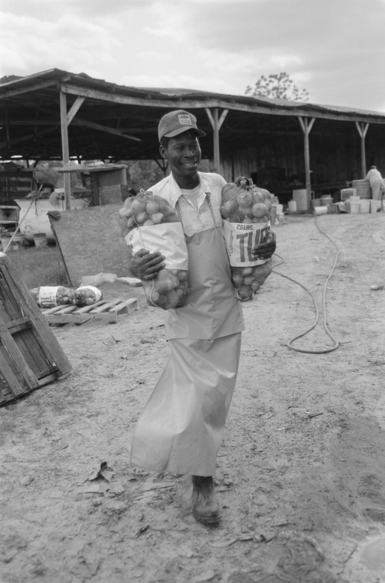 <p><center>Thomas County, Georgia:</center></p>
Elton " lil bro" Williams loading produce at Marable Farm. : Images : AMERICAN BLACK FARMERS PROJECT - John Ficara